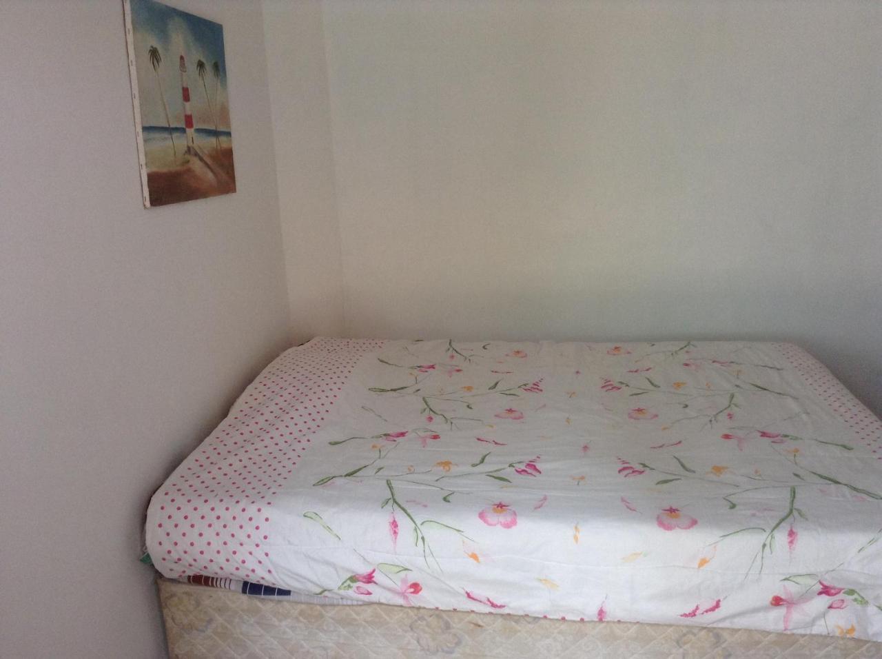 サルバドール Red Arara Bed & Breakfast エクステリア 写真