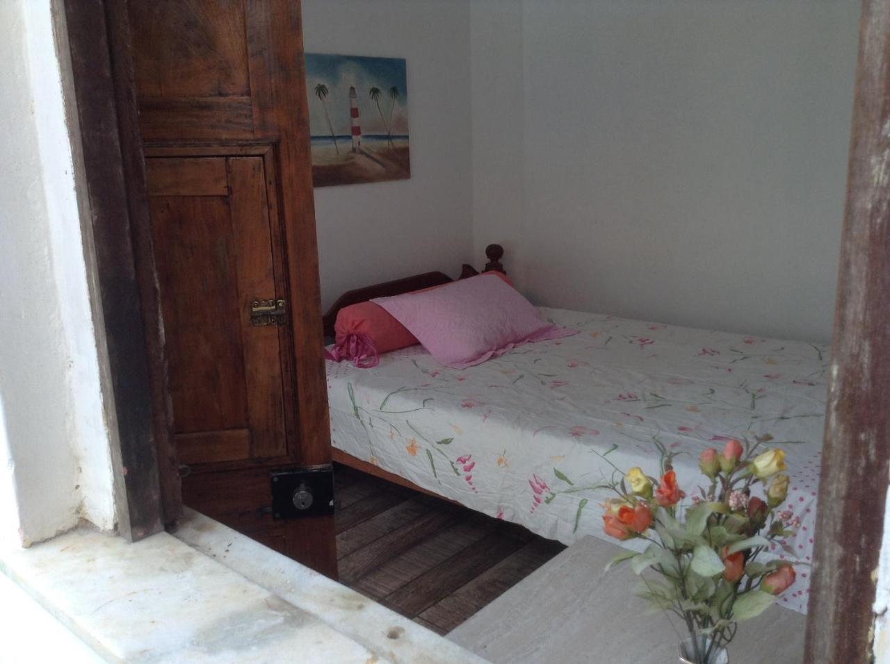 サルバドール Red Arara Bed & Breakfast エクステリア 写真